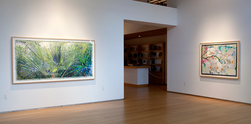 2015 Exhibition at the Nancy Hoffman Gallery