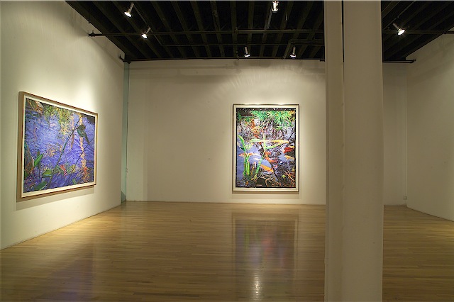Joseph Raffael 2007 Exhibition at the Nancy Hoffman Gallery