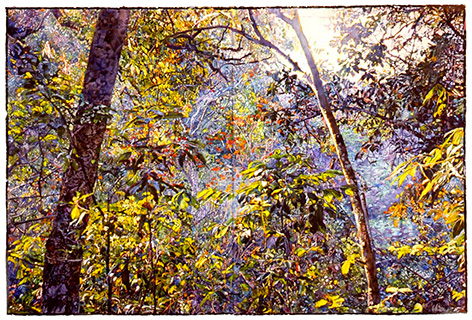 Friendship's Forrest, watercolor on paper by Joseph Raffael made in 2002