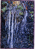 23 November/Oasis Waterfall - watercolor on paper painting by Joseph Raffael