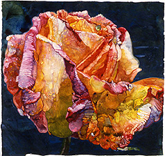 Mediterranean Rose - watercolor on paper painting by Joseph Raffael