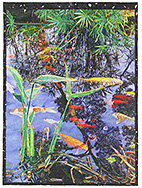 Water Reflection Fish - watercolor on paper painting by Joseph Raffael