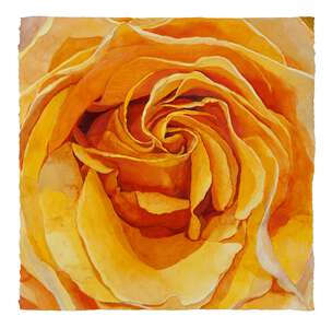 A Rose for Nancy - watercolor on paper painting by Joseph Raffael