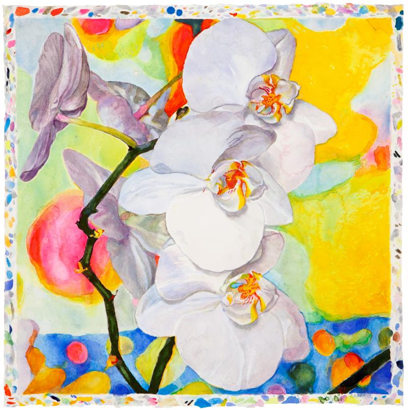 Orchids in Summer - watercolor on paper by Joseph Raffael