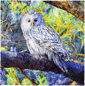 Owl - watercolor on paper painting by Joseph Raffael
